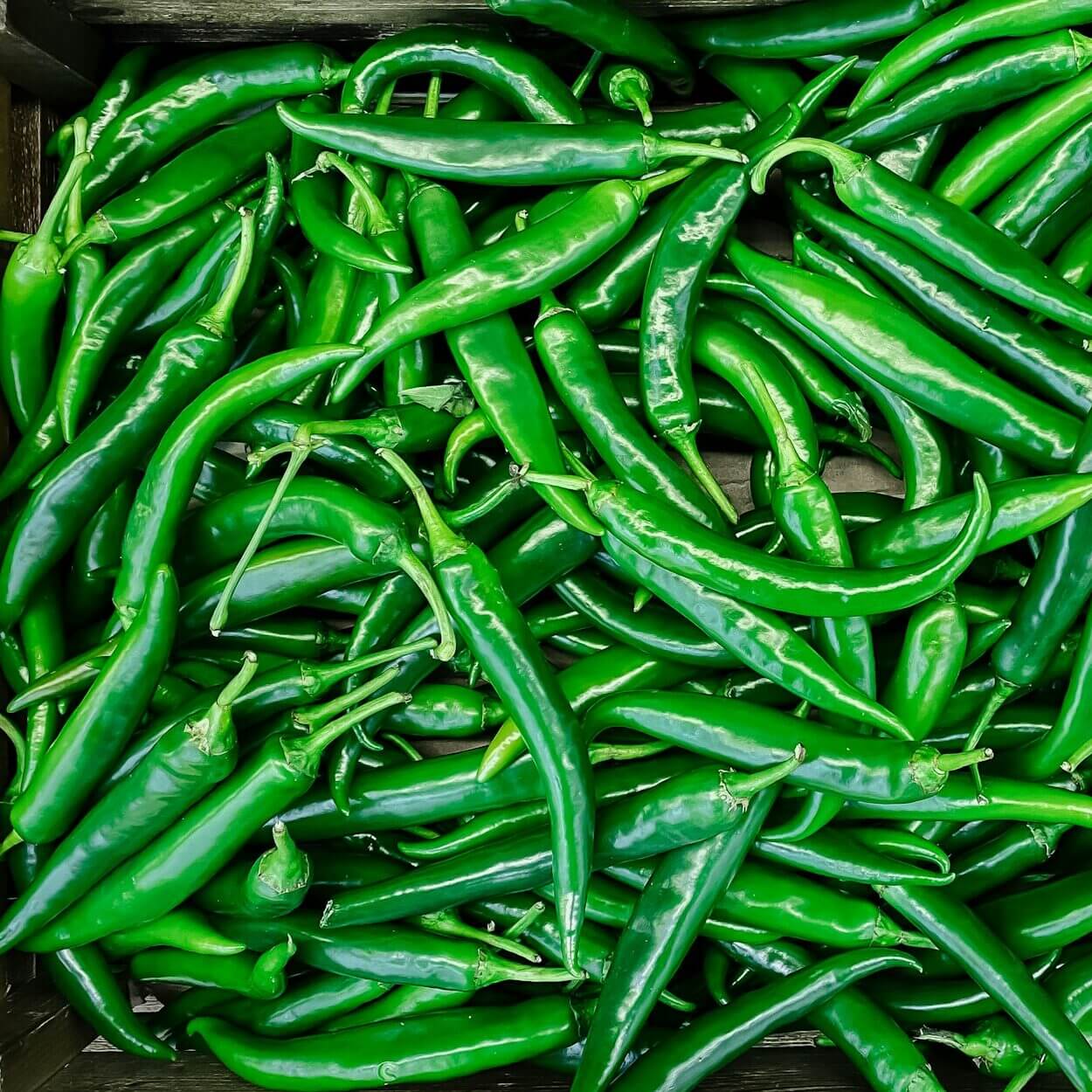 Green chili peppers in box