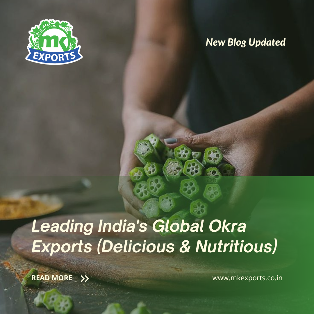 MK Exports: India’s Top Okra Exporter (Fresh & Global) 