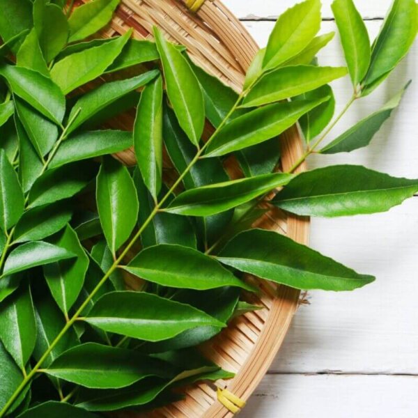 Curry leaves