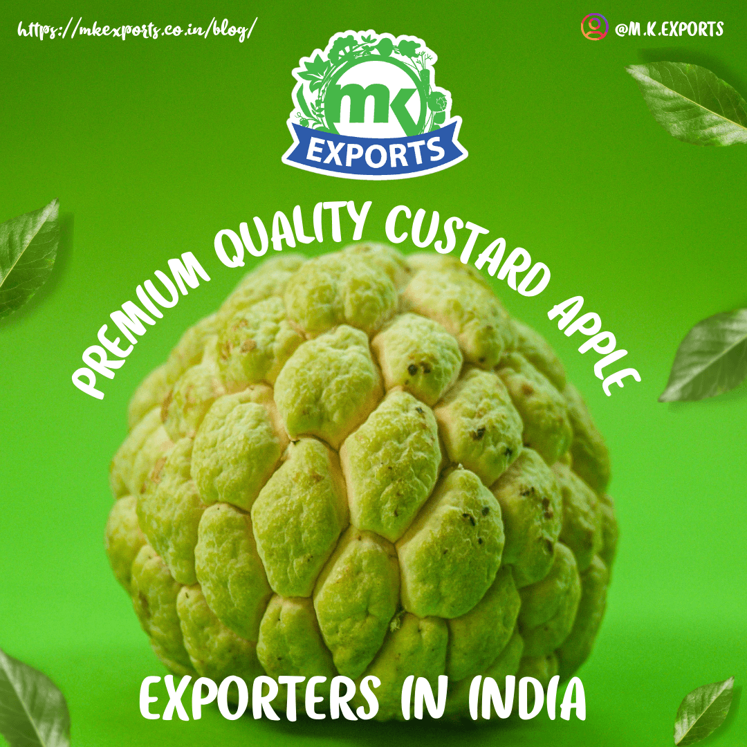 MK Exports- Premium Quality Custard Apple Exporters in India