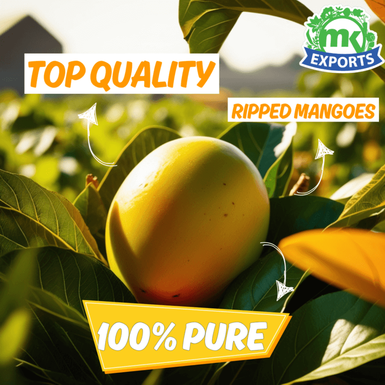 mango exporters in India