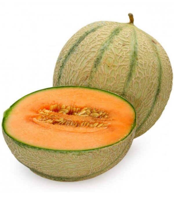 Musk melon
