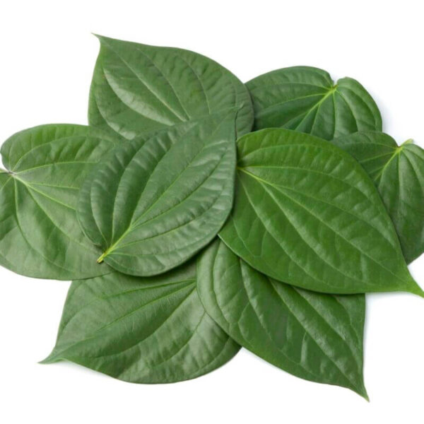 Betel leaves