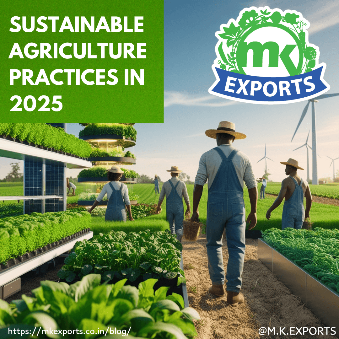 Sustainable Agriculture Practices in 2025- MK Exports