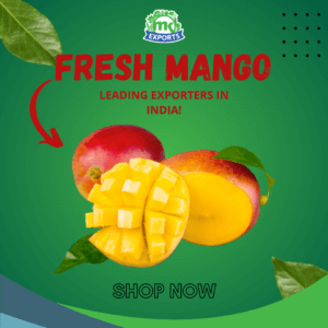 Top Mango exporter