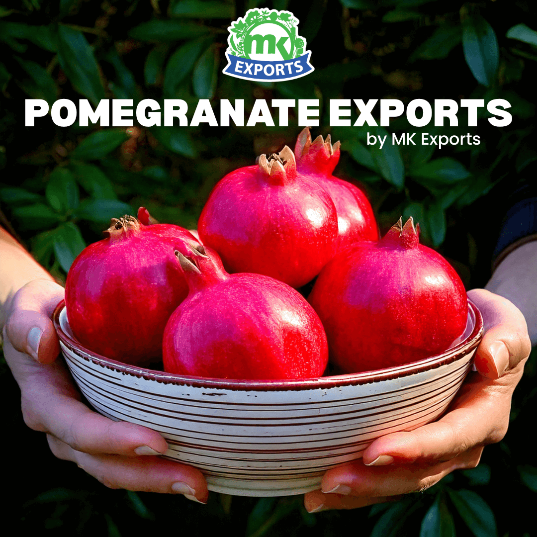 Why Choose MK Exports as Your Pomegranate Supplies? A Comprehensive Guide