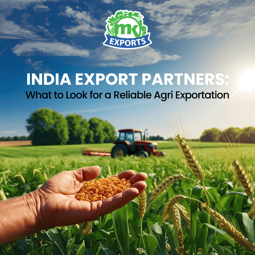 India Export Partners