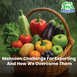 Monsoon