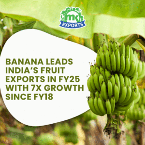 India’s top fruit export FY25