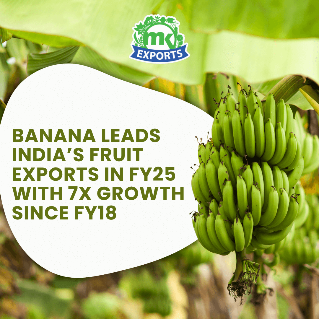 Banana Leads India’s Fruit Exports in FY25 with 7X Growth Since FY18