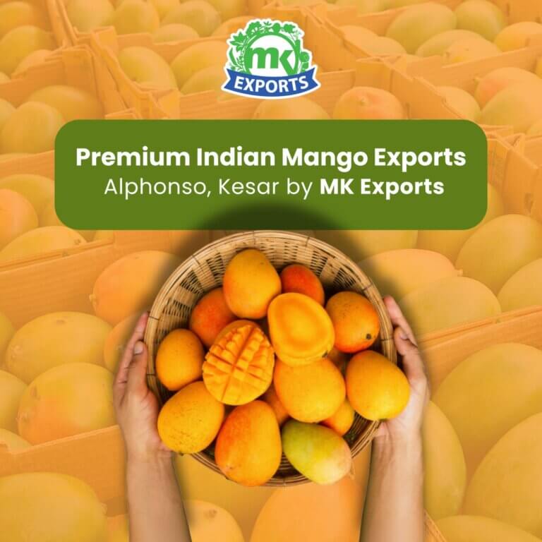 Indian mango exports