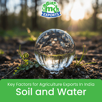 Agriculture Exports In India