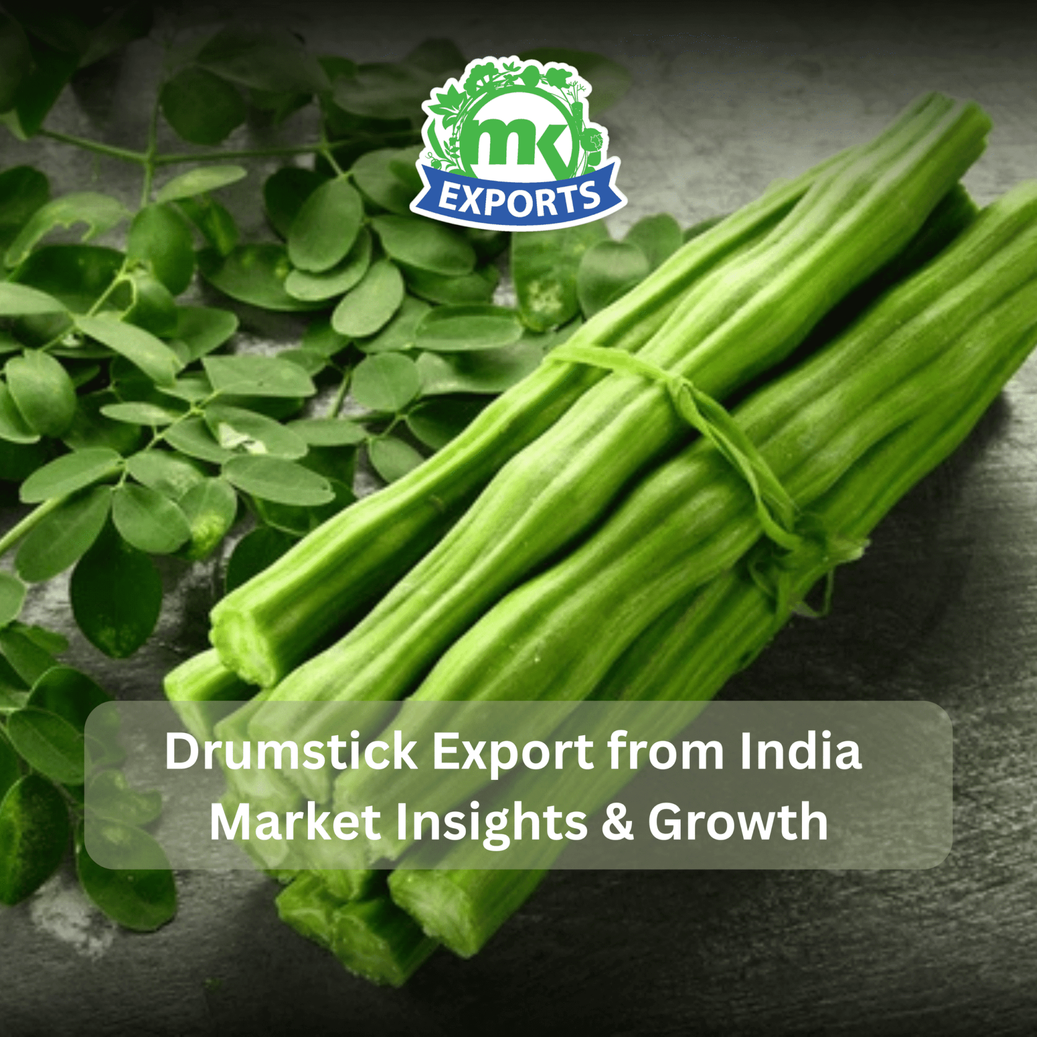 Drumstick Export from India: Market Overview, Trends, and Opportunities