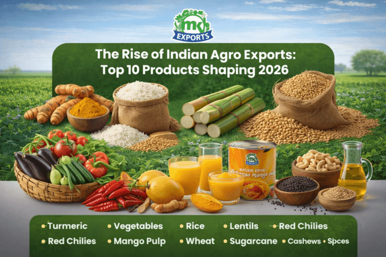 The rise of Indian agro exports showcasing top export products for 2026 including turmeric, rice, wheat, lentils, sugarcane, mango pulp, red chilies, vegetables, cashews and spices by MK Exports