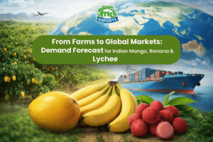 Global demand forecast for Indian mango, banana and lychee exports from farms to international markets by MK Exports