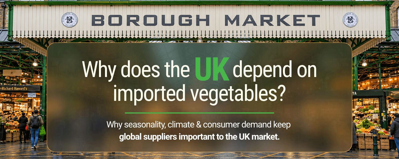 Why Does the UK Depend on Imported Vegetables?